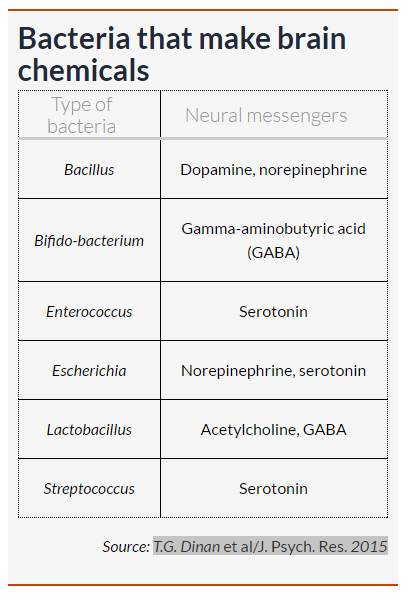 psychobiotics-neurotransmitters